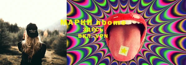 кокс Баксан